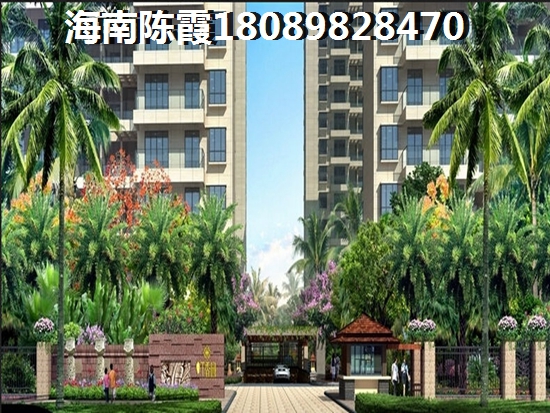 海南五指山市怎么买房？