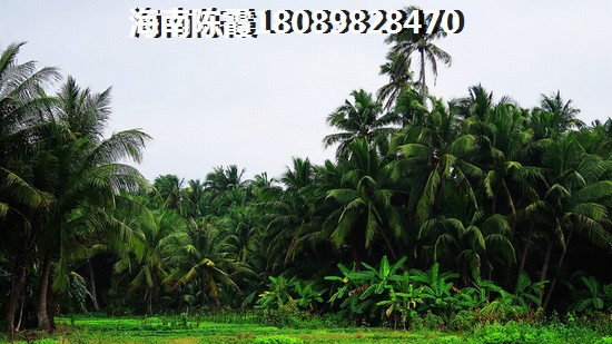 崔瑶琪生了几个孩子啊 崔瑶琪生了几个孩子啊