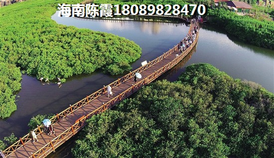 云南临沧房买那里好？
