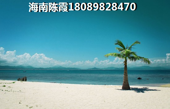 球员的基本装备