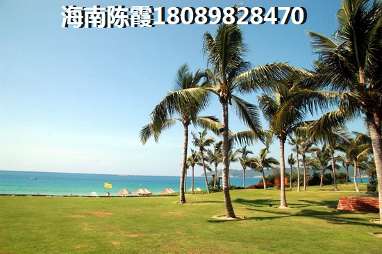 五指山·绿洲岛性价比分析
