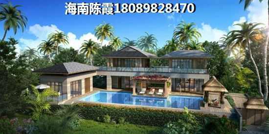 五指山醉近房价会涨吗
